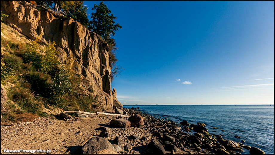 Pokoje Gdynia Redlowo エクステリア 写真